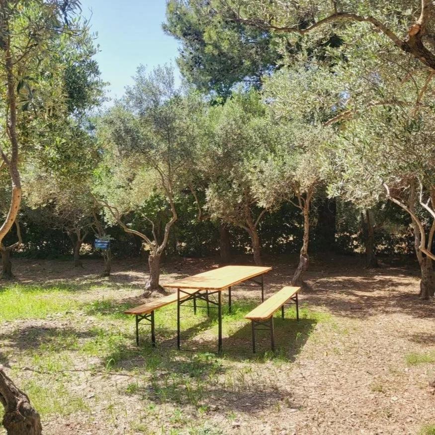 B&B Il Girasole SantʼAnna Arresi Esterno foto