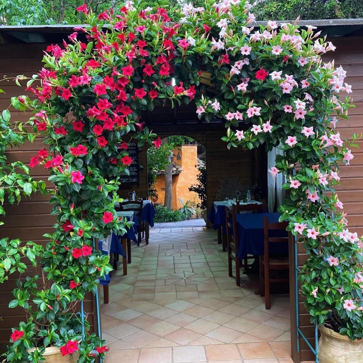 B&B Il Girasole SantʼAnna Arresi Esterno foto